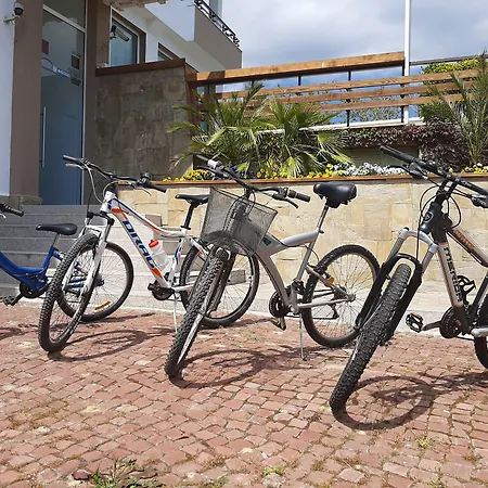 Milennia Family 4* 阳光海滩