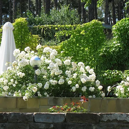 公寓式酒店 Milennia Family 阳光海滩